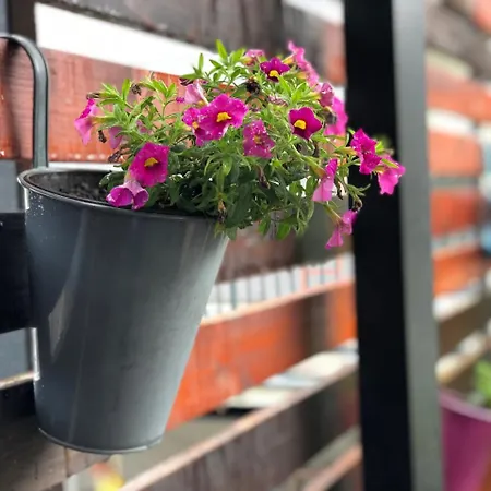 ホテル Ig
